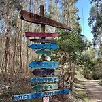 בית נופש Casa Martim Sao Romao (Faro)