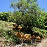 Casa Martim Tatil Evi Sao Romao (Faro)