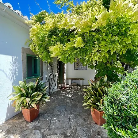 Casa Martim