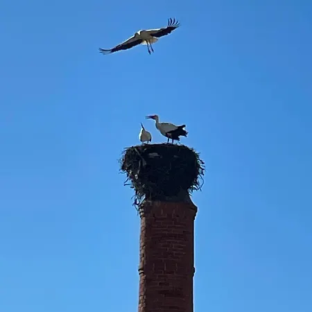 Casa Martim * Sao Romao (Faro)