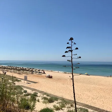 Casa Martim Sao Romao (Faro)
