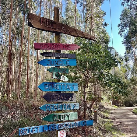 펜션 Casa Martim Sao Romao (Faro)