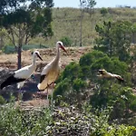 Σπίτι διακοπών Casa Martim Sao Romao (Faro)