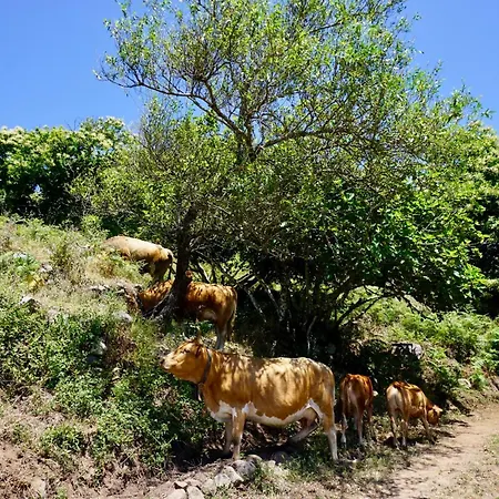 Casa Martim Prázdninový dům Sao Romao (Faro)