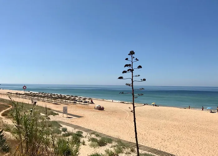 Casa Martim Sao Romao (Faro)